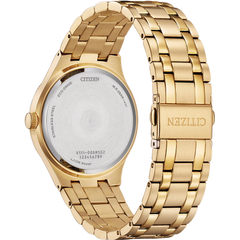 Citizen Gents Eco-Drive BM7653-5OQ