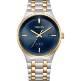 Citizen Gents Eco-Drive BM7656-51L