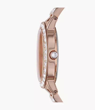 Fossil Jesse Rose Three-Hand Day-Date Gold-Tone Stainless Steel Watch ES3020